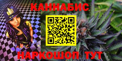 крисы Брянск