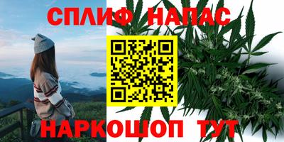 МДПВ Владикавказ