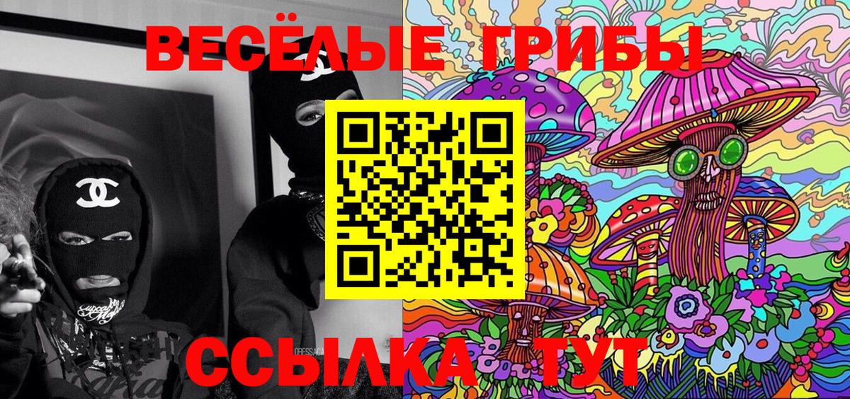 Новозыбков  Псилоцибиновые грибы прущие грибы  Галлюциногенные грибы GOLDEN TEACHER  Вход с VPN 